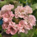 반센트 | 제주 첫 나들이 제주현대미술관