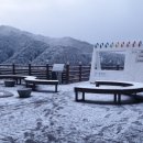 2024년 산림기능사 실기 후기(강릉교육원)