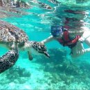 거북호텔 이미지