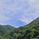 정자나무농원 이미지