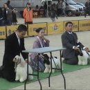 지영 이미지