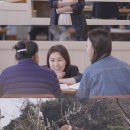 가시나 티브이데일리