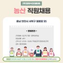 대하식자재마트 - 천안시 서북구 월봉로 95 | 대하식자재마트