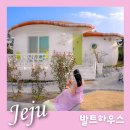 슈테른헤어 | 제주 서귀포 가성비 펜션 발트하우스 10만원대 독채 감성숙소 후기