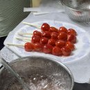 홀리앤졸리 이미지