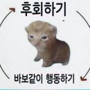 H.S 모텔 | 전국반짝투어 몬스타엑스 공주편. 내가 이런 불미스러운 스케를 자의로 다녀오다니.