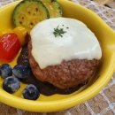 펫푸드스쿨 이미지