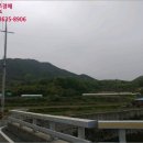 임당천 이미지