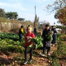 사창농장 이미지