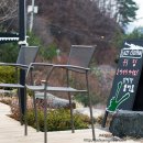 게으른 악어 이미지