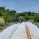 월현농장 이미지