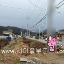 6번카센타