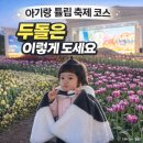 이레가든 | 에버랜드 튤립축제 아기랑 후기 | 두돌 아기 코스 추천·꿀팁 총정리