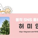 구립꿈빛하나어린이집
