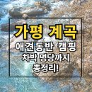 가평 계곡 차박 &amp; 애견 캠핑 완전 정리! 2025년 최신 명당 총정리