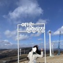 현대 목장 이미지