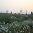 [생태탐방] 소래포구 이미지