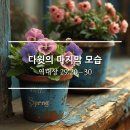 다윗 CO. 이미지