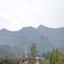 이경희 선생 묘 이미지