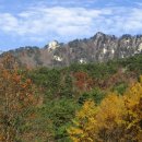 용화산 티스토리