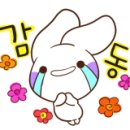 네추럴데이즈 이미지