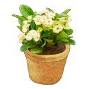 광산구-140 이미지