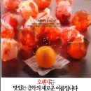 오렌지광고기획 - 제주시 용담로 138 | 오렌지광고기획