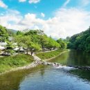 하방소 포레스트 이미지