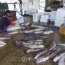 오첩반상 이미지