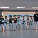 용인대 국기 태권도장 | 매교태권도로 유명한곳 다니는 후기