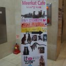 에덴미어캣프랜즈 이미지