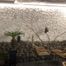 까사인 제주 이미지