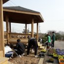 초락2리 이미지