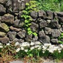 키즈키득펜션 이미지