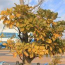 여수엑스포역 이미지