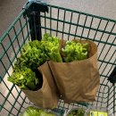 바로한의원 이미지