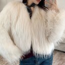 엘레강스 이미지