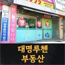 대명루첸공인중개사사무소 | 평내호평 대명루첸부동산 매매 경매 상담해본 이야기