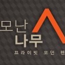 세모난나무 이미지