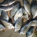 바다풍경민박 이미지