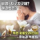농업회사법인(주)대강 2농장 | 알레르기 비염 증상에 도움되는 목련 효능! 효소 담는법 ・ 복용법과 실전 사례