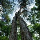 SLOW팬션 이미지