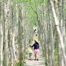 강진 바스락길 이미지