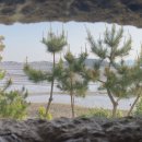 달리도 민박 이미지