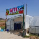 태권농장 이미지