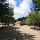 덕풍계곡솔밭야영장 이미지