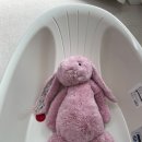 플러스비 | 육아 필수템 온다베이비 플러스 욕조 후기 신생아 아기 욕조 추천