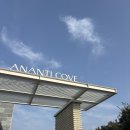 (주)뉴트리셀 | [아난티 앳 부산 코브 다모임 뷔페] 주말 디너 룸 이용 솔직후기(내돈내먹⭐️)