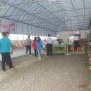 싱싱팜농장 이미지