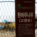 평화매점 - 원주시 원일로 218 | 평화매점